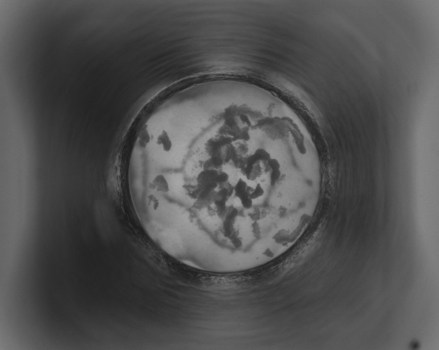 X0000100470875200807111039