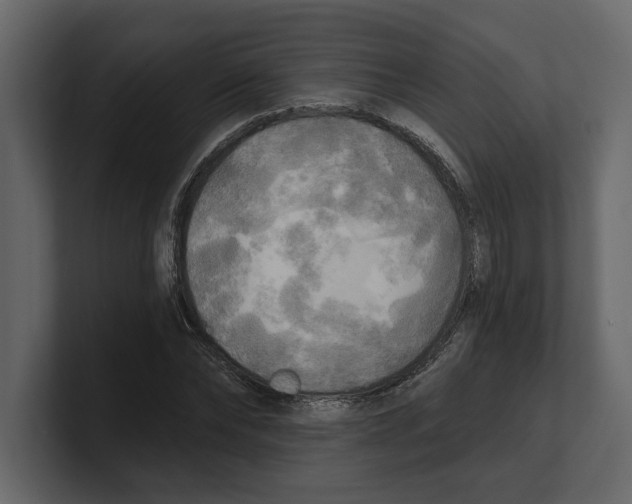 X0000100470878200807111039