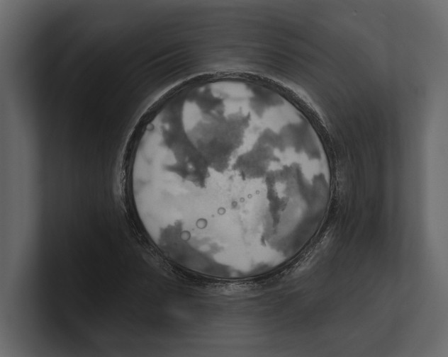 X0000100470879200807111039