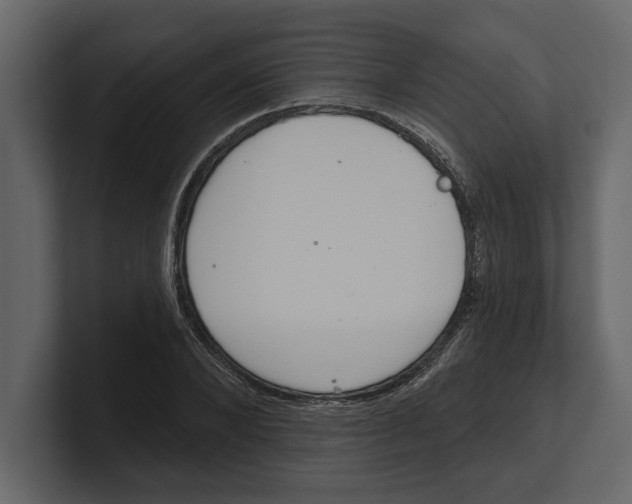 X0000100470880200807111039