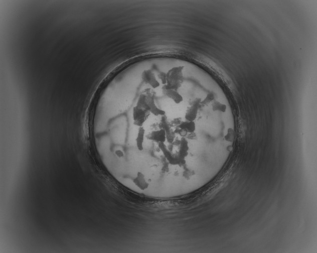 X0000100470883200807111039