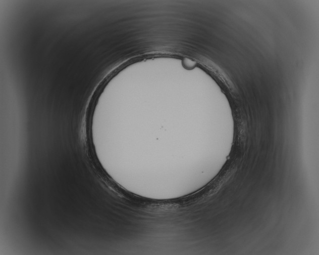 X0000100470884200807111039