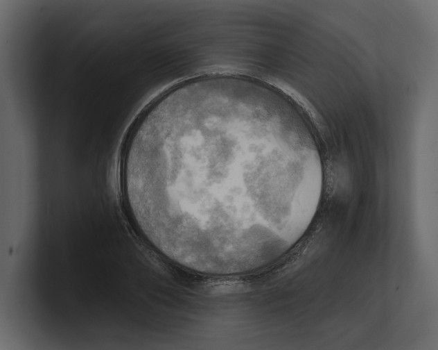 X0000100470886200807111039