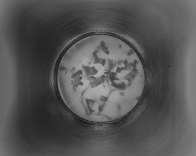 X0000100470887200807111039