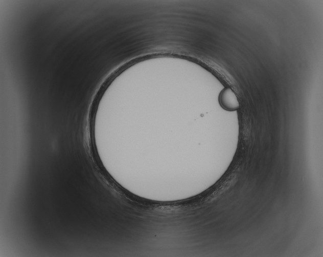 X0000100470888200807111039