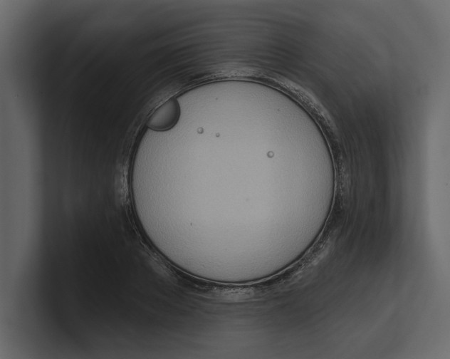 X0000100470889200807111039