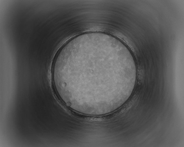 X0000100470890200807111039