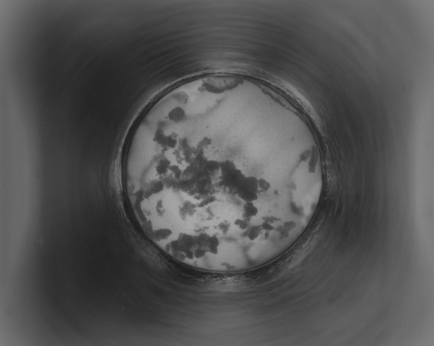 X0000100470891200807111039