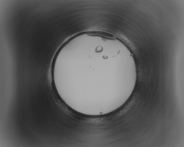 X0000100470892200807111038