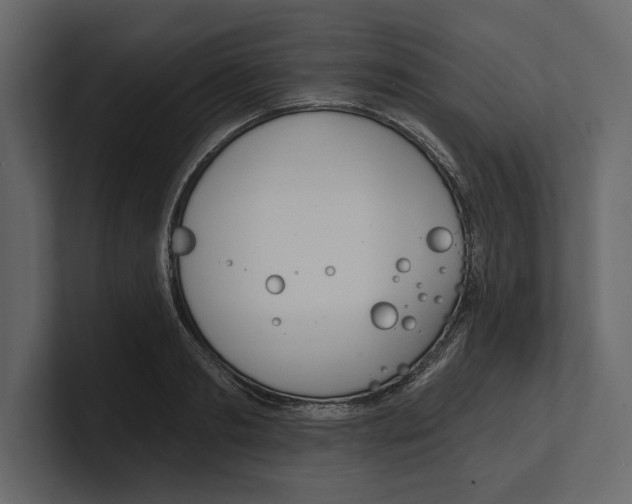 X0000100470893200807111038