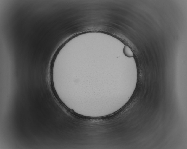 X0000100470894200807111038