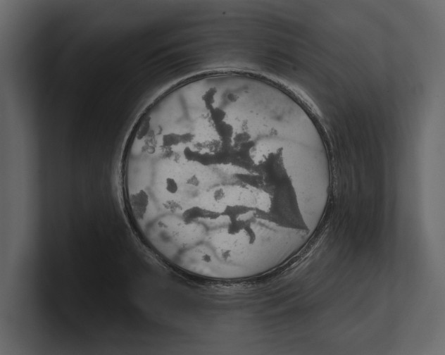 X0000100470895200807111038