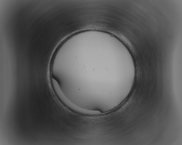 X0000100470896200807111038