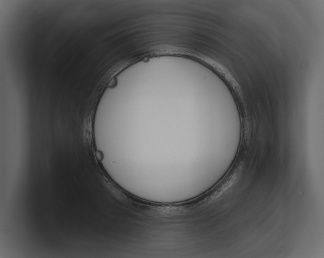 X0000100470897200807111038