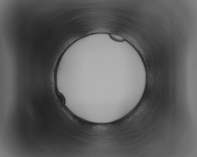 X0000100470898200807111038