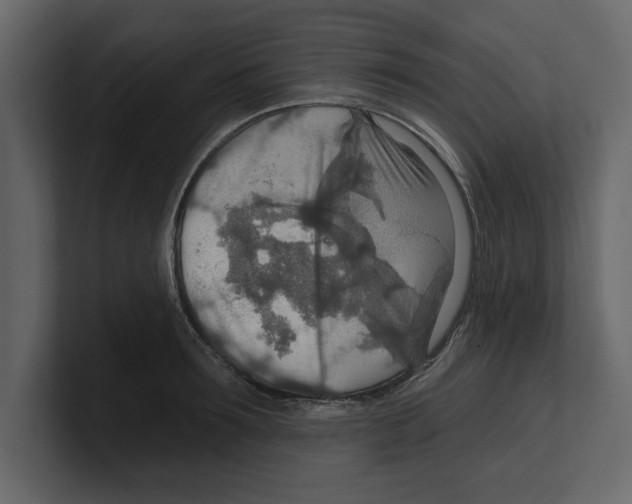 X0000100470899200807111038