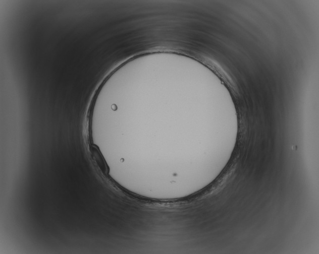 X0000100470900200807111038