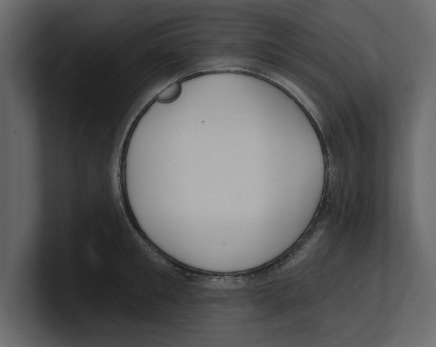 X0000100470901200807111038