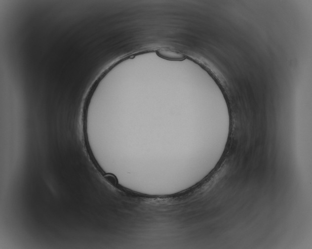 X0000100470902200807111038