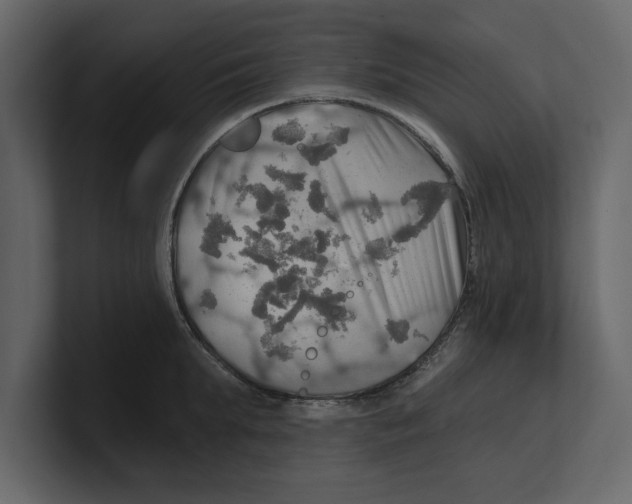 X0000100470903200807111038