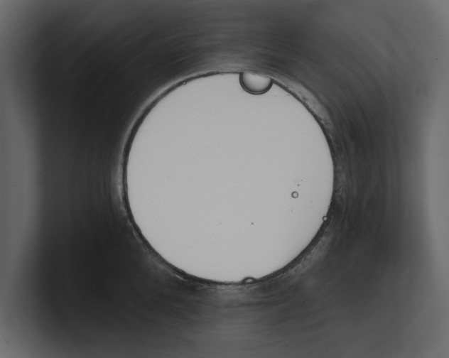 X0000100470904200807111038