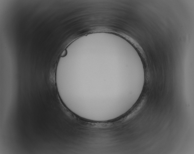 X0000100470905200807111038