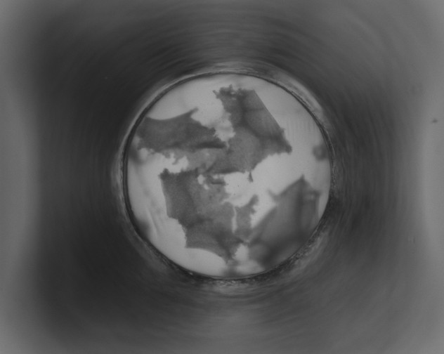 X0000100470907200807111038