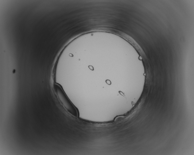 X0000100470908200807111038