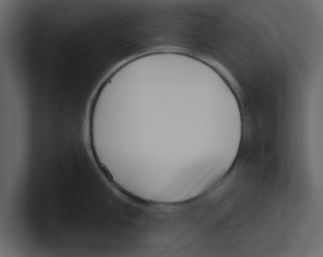 X0000100470910200807111038