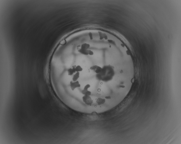 X0000100470911200807111038