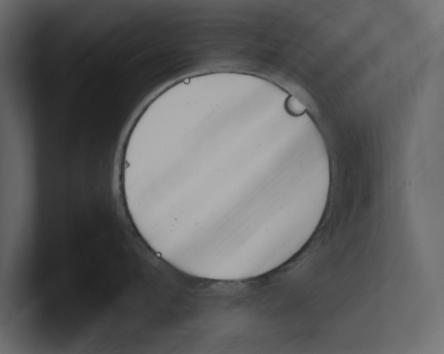 X0000100470912200807111038