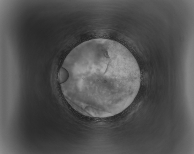 X0000100470913200807111038