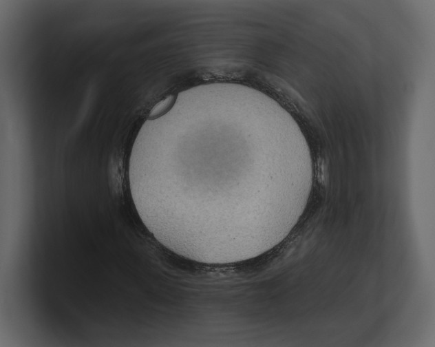 X0000100470915200807111038