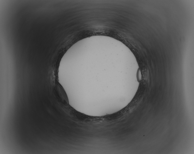 X0000100470916200807111038