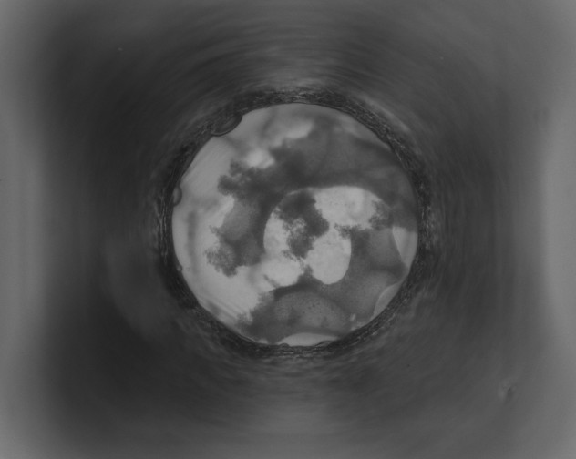 X0000100470917200807111038