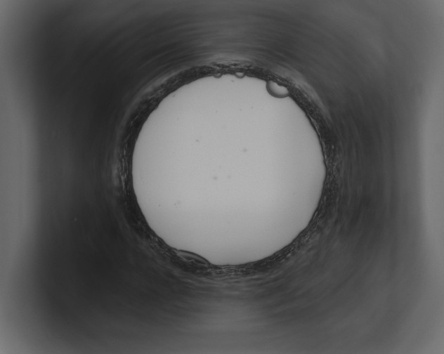 X0000100470920200807111038