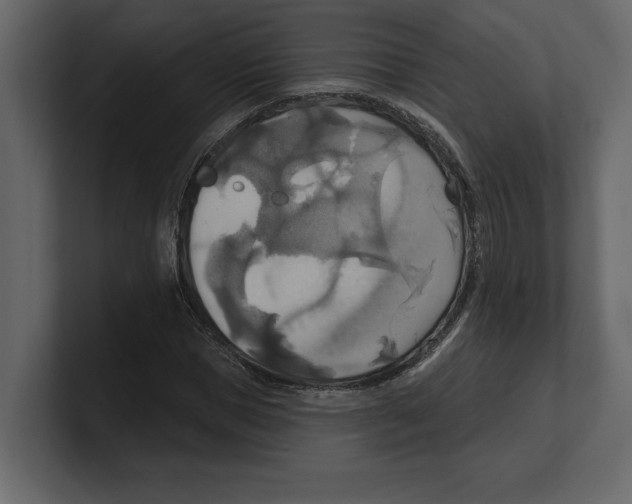 X0000100470921200807111038