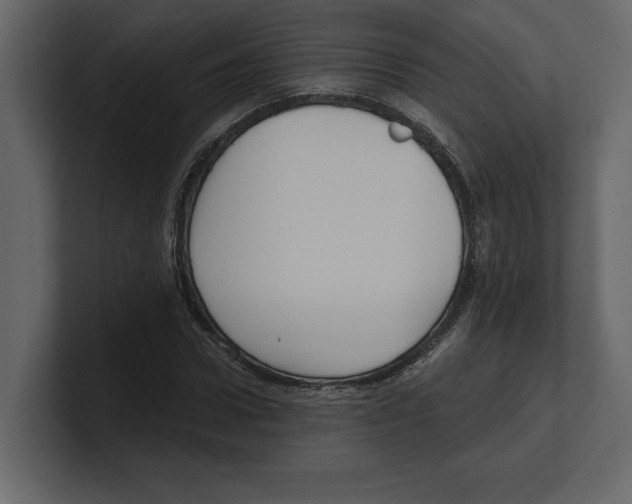 X0000100470922200807111038