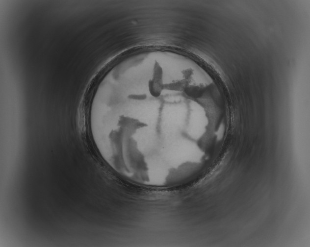 X0000100470925200807111038