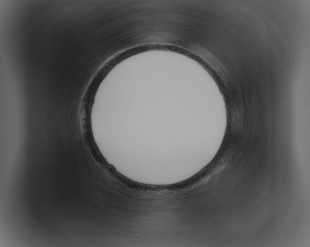 X0000100470926200807111038