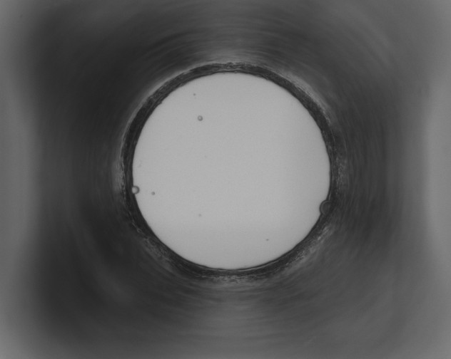 X0000100470927200807111038