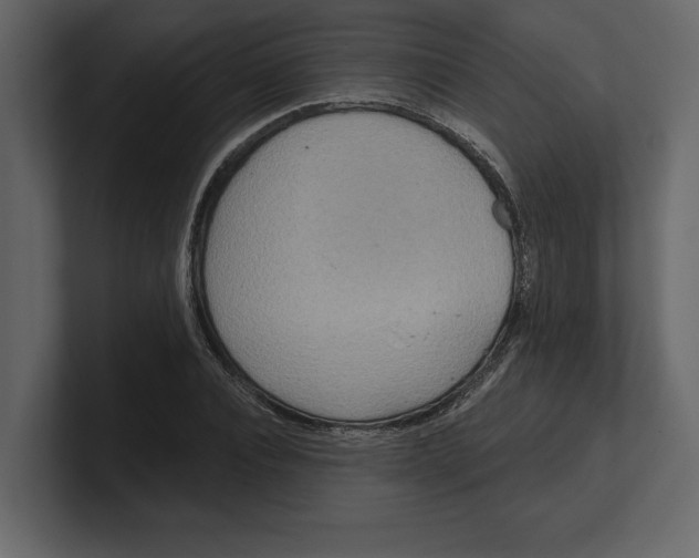 X0000100470928200807111038