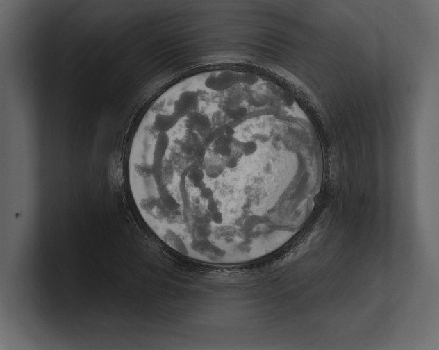 X0000100470929200807111038