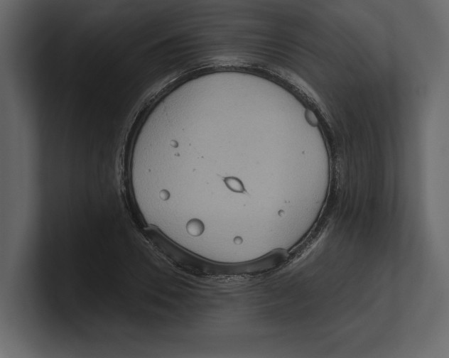 X0000100470930200807111038