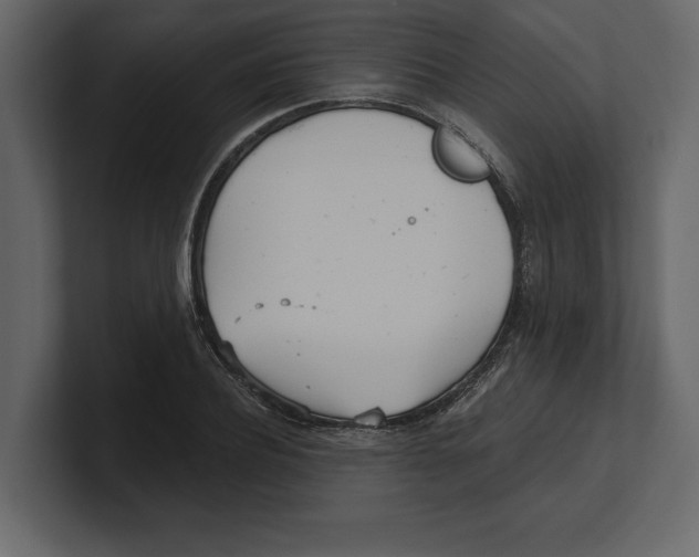 X0000100470932200807111038