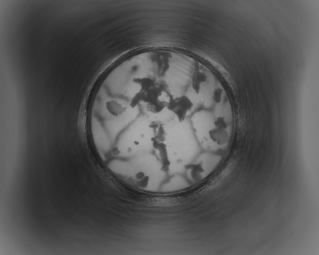 X0000100470933200807111038