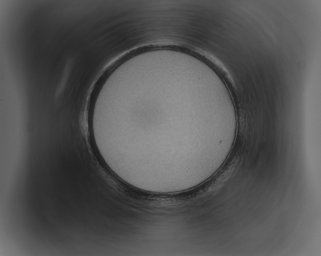 X0000100470935200807111038