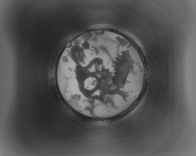 X0000100470937200807111038