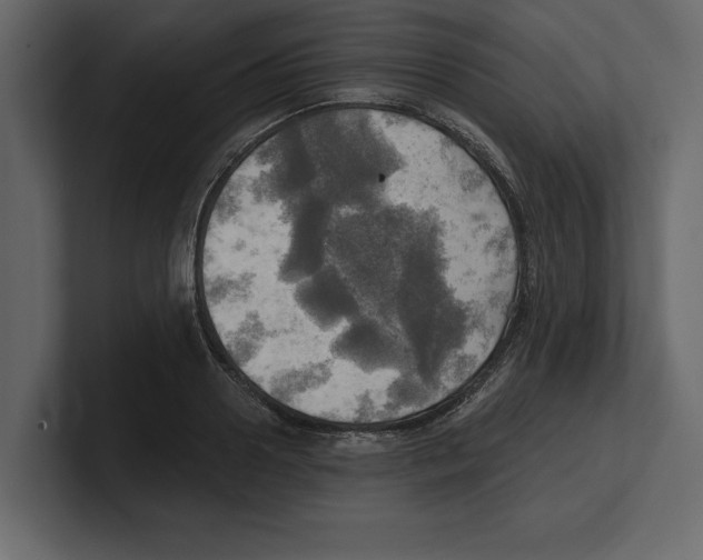 X0000100470938200807111038