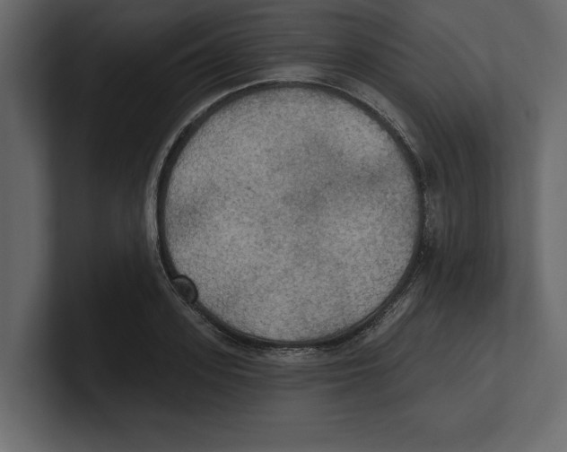 X0000100470939200807111038